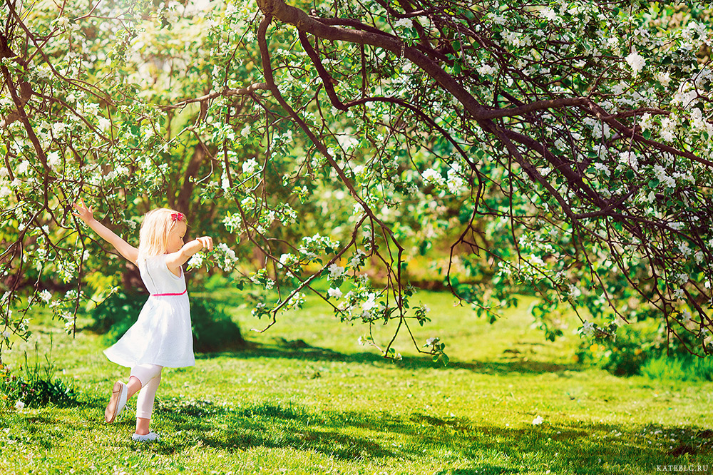 В саду гуляет ветер. Фотосессия в цветущем яблоневом саду. Девушка в цветущем саду. Прогулка в цветущем саду. Фотосессия в цветущих деревьях.