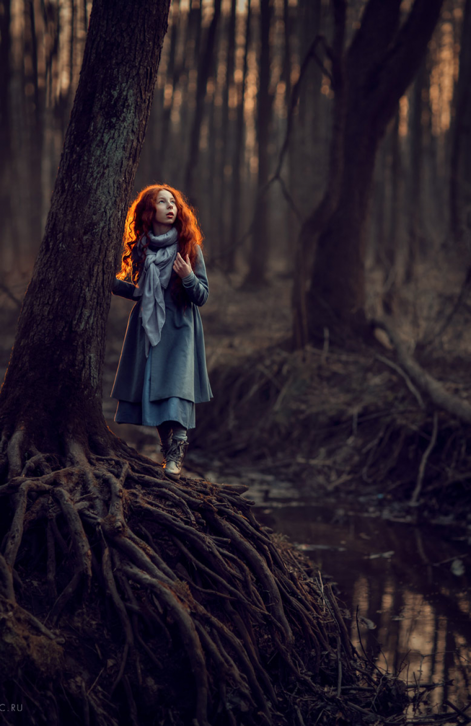 Вечерние фотосессии | Kate BLC Photography