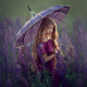 девочка под зонтиком в люпиновом поле