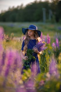 free presets for lightroom
